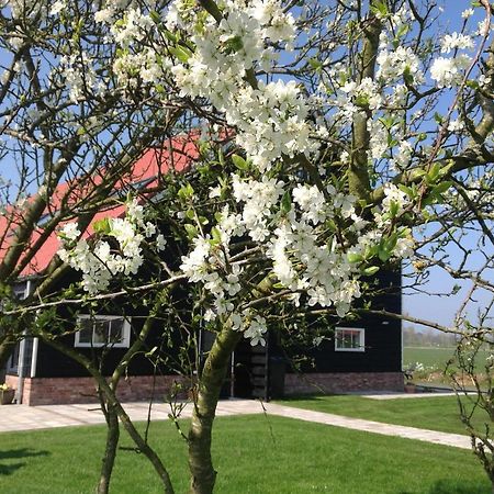 Appartement Hofwestdijk à Vrouwenpolder Extérieur photo